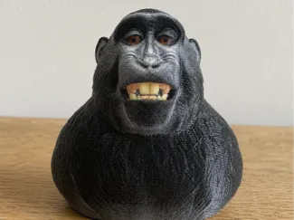 Funny Monkey Bust Meme