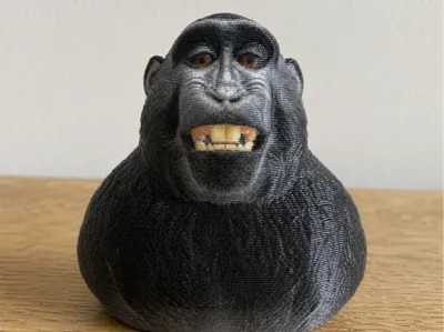 Funny Monkey Bust Meme