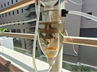 All In One Aquaponics & Drip Irrigation System 