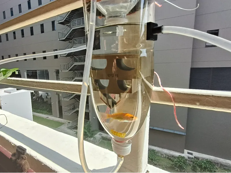 All In One Aquaponics & Drip Irrigation System 
