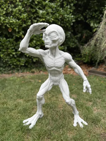 Modelo para impresión 3D: The COMMANDER - LIFE SIZE (Alien Scout Team) — vista de referencia 4