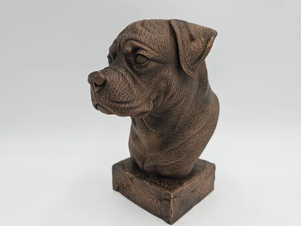 https://makerworld.bblmw.com/makerworld/model/US2b00e5ba96b60e/design/2025-05-12_3938251d68fe98.jpg