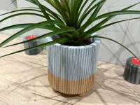 0.2mm layer, 3 walls, 5% infill