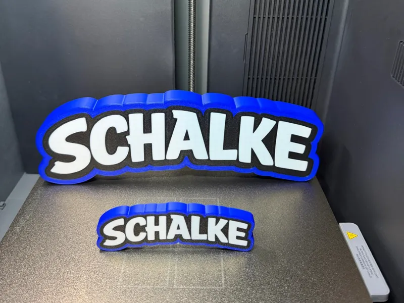Schalke Schriftzug