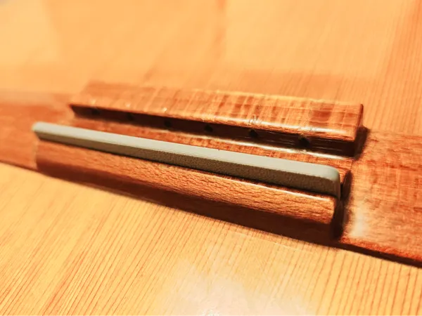 https://makerworld.bblmw.com/makerworld/model/US2b055df9c760/design/2025-04-06_4f4fbd733945.jpg