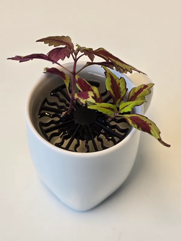 https://makerworld.bblmw.com/makerworld/model/US2b05d9f04ba62/design/2024-04-04_2d553546f7a84.jpg