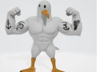 muscular seagull