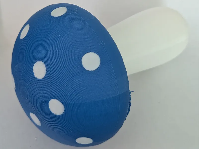Mushroom Maraca