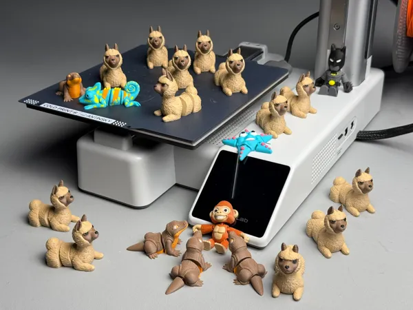 https://makerworld.bblmw.com/makerworld/model/US2b0deb0a4e1d21/design/2025-05-13_65a224c69762d8.jpg