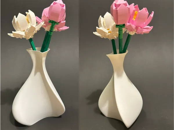 https://makerworld.bblmw.com/makerworld/model/US2b1242db3854f1/design/2025-03-02_0df403acc81418.jpeg