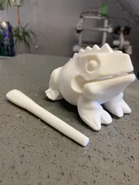 Grenouille à percussion — photo 3