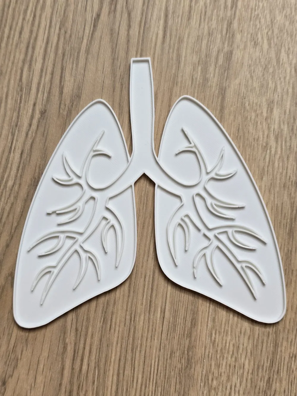 Lungs Anatomy Coloring Craft Learning by Merilno3D MakerWorld: Download ...