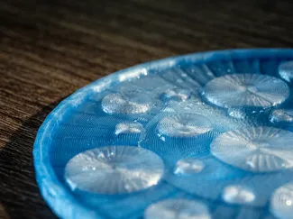 Bubble Coaster