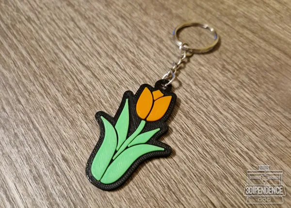 https://makerworld.bblmw.com/makerworld/model/US2b1e68252ce8c4/design/2024-02-25_935dc2bf404c3.jpg