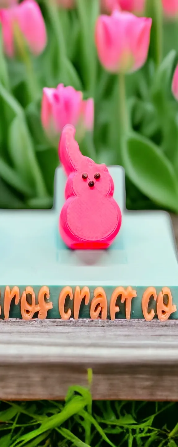 https://makerworld.bblmw.com/makerworld/model/US2b23d325e44730/design/2024-03-15_5b2fdce77a9e1.jpg