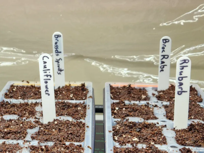 Fast Easy Plant tag label - 130mm long (5in ish)