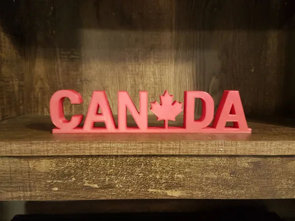 https://makerworld.bblmw.com/makerworld/model/US2b2d623e529d49/design/2025-04-11_90e3e66f9b1c48.jpeg