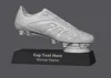 Silver Version 0.2mm layer, 6 walls, 25% infill