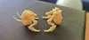 2 parts, 1 color. 0.2mm layer, 2 walls, 15% infill