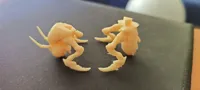2 parts, 1 color. 0.2mm layer, 2 walls, 15% infill
