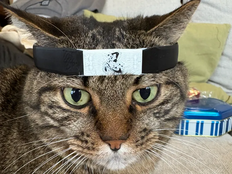 Cat Ninja Hood