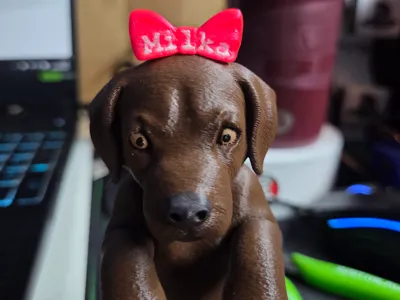 Curious Dog (Desk Buddy)