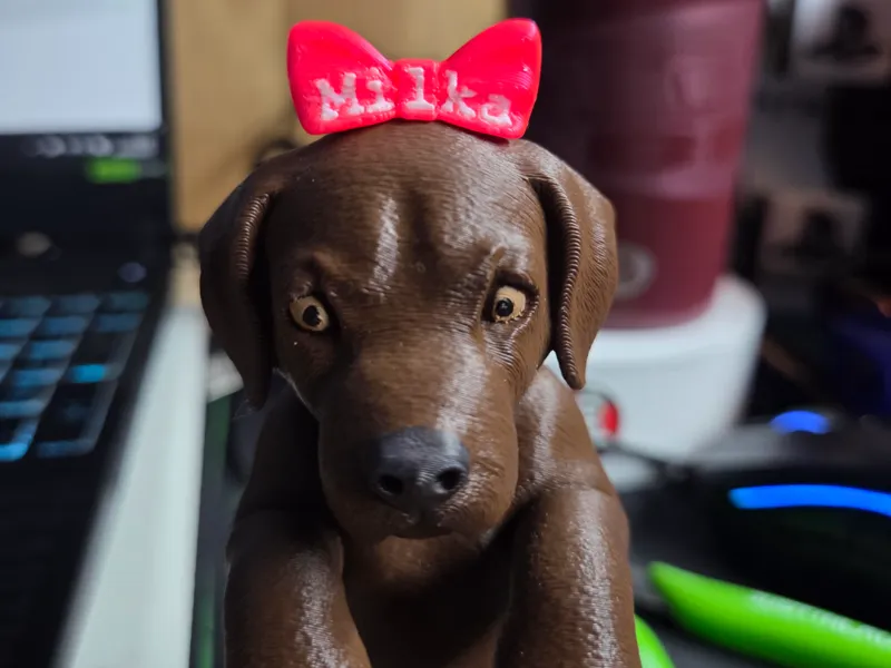 Cão Curioso (Desk Buddy)