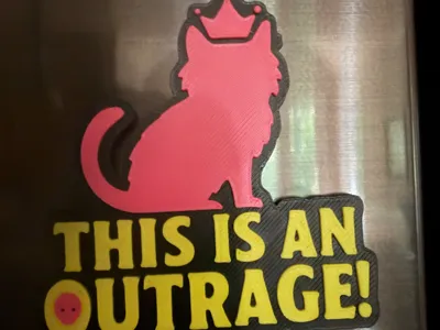 Princess Donut "This Is An Outrage" Magnet