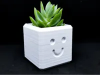 Happy Planter