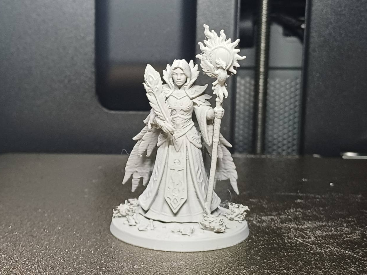 DND Phoenix Priestess