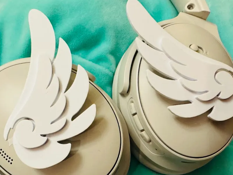 Headphone wings