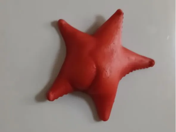 Estrella culona