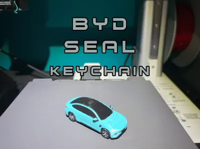 BYD Seal Keychain (PIP WW Vortek)