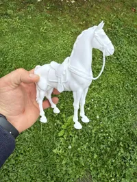 Cheval de guerre pour chevaliers — photo 2
