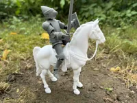Cheval de guerre pour chevaliers — photo 1