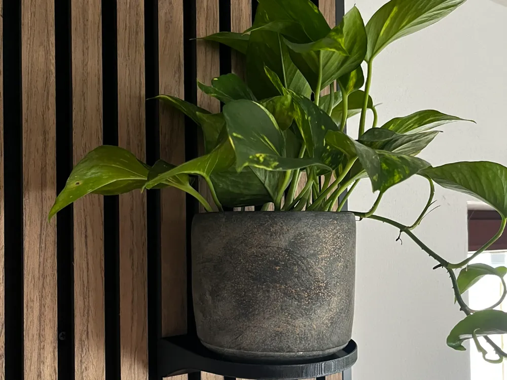 Pflanzenhalter fr Akustikpaneelen  Kostenloses 3D-Druckmodell  MakerWorld