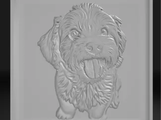 dog potrite
