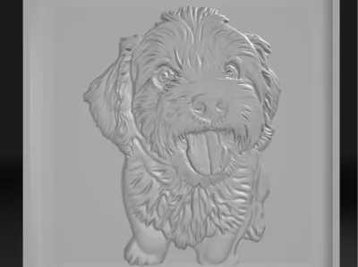 dog potrite