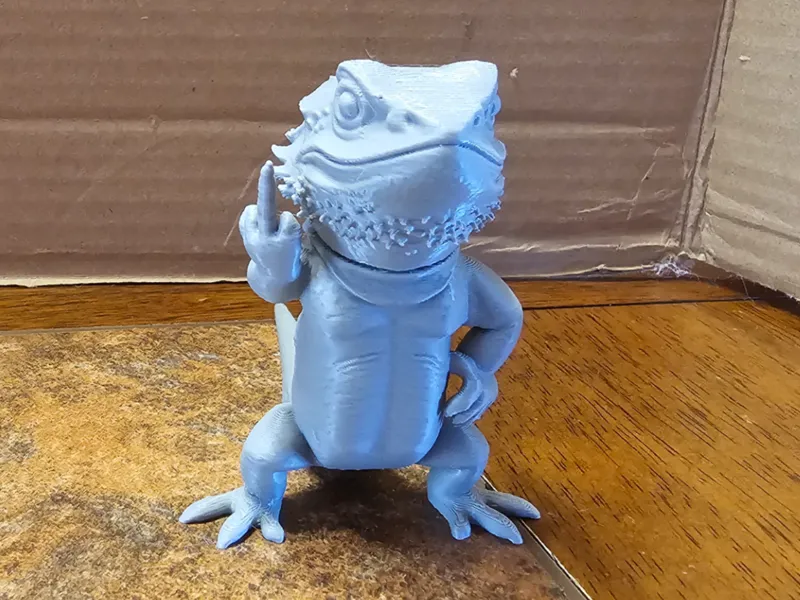 bearded dragon with middle finger
