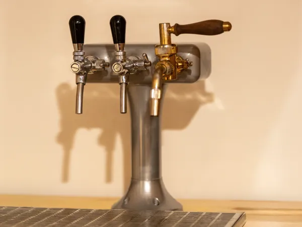 https://makerworld.bblmw.com/makerworld/model/US2b6bbdc82a743f/design/2025-10-02_3e35fe6cac29f.jpg