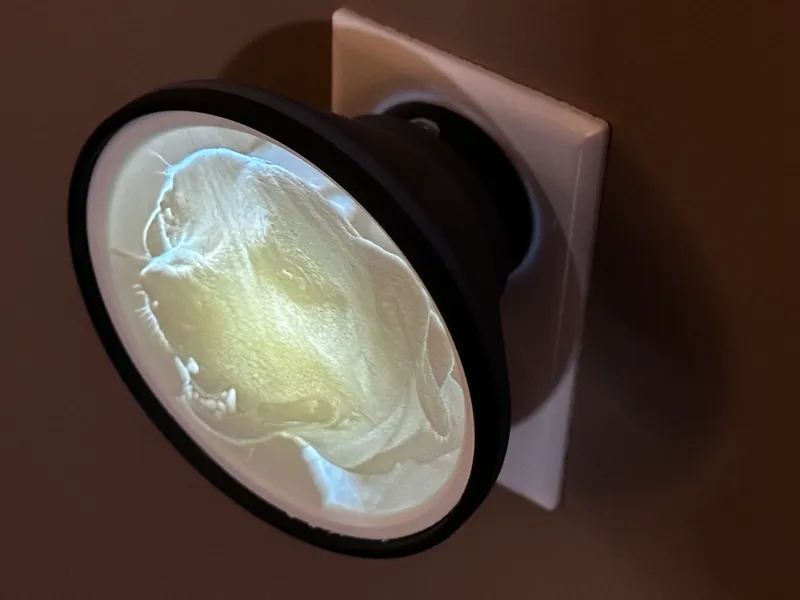 Dollar Store Nightlight Lithophane Adapter
