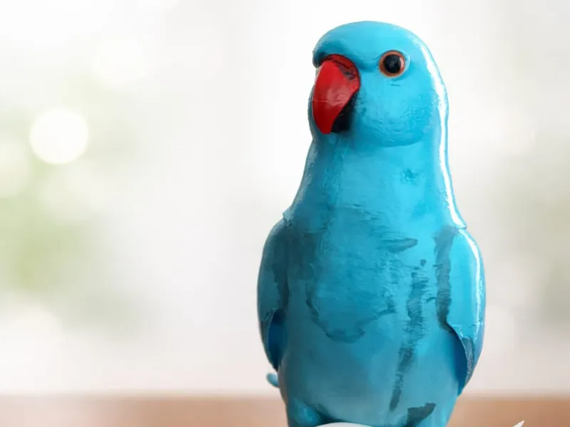 indian ringneck parrot figurine (blue edition)