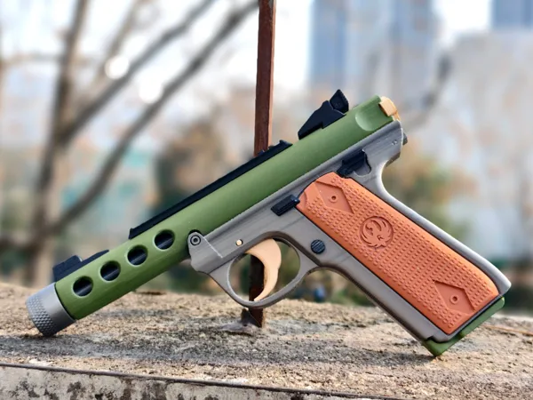 https://makerworld.bblmw.com/makerworld/model/US2b6feb00016738/design/3c5be17befdba132.webp