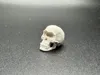 Cyclops Skull - Single
