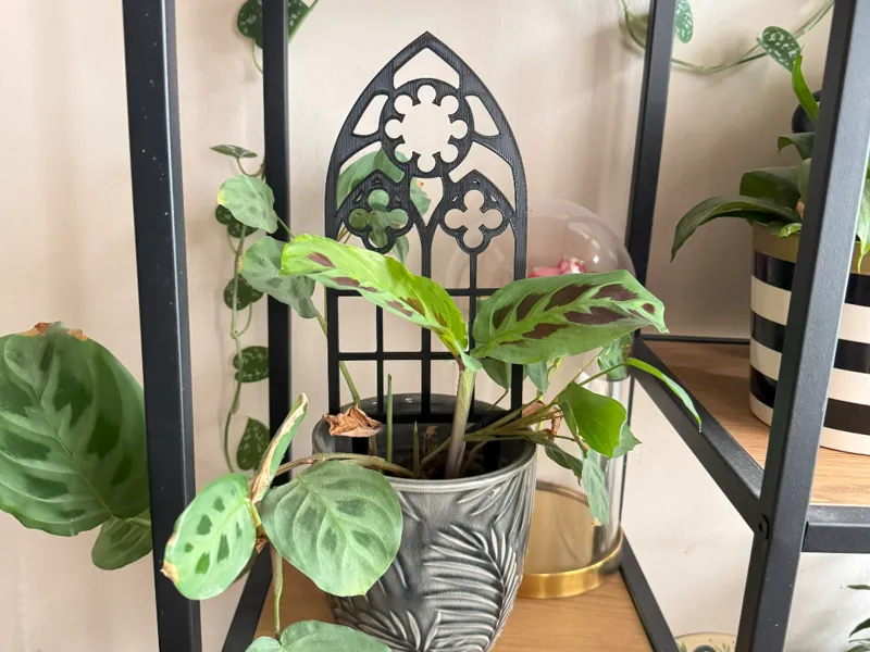 Plant trellis, support, Ghotic theme - third ver.