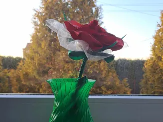 Spiral vase