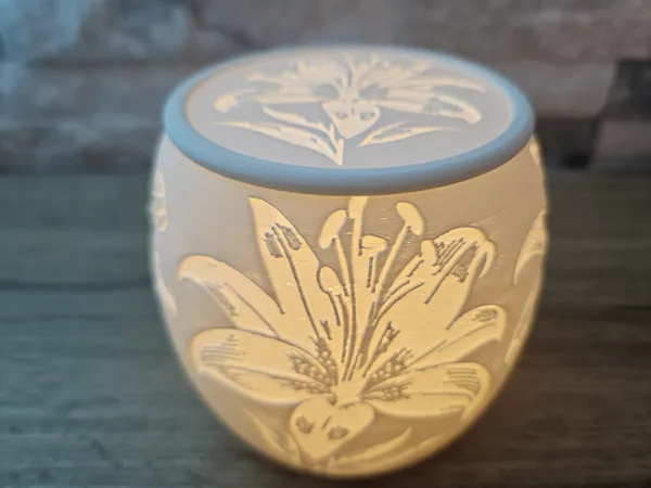 https://makerworld.bblmw.com/makerworld/model/US2b7e400c6f141c/design/2025-02-18_f331edf4cc40f8.jpg