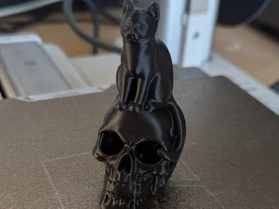 Cat on the skull