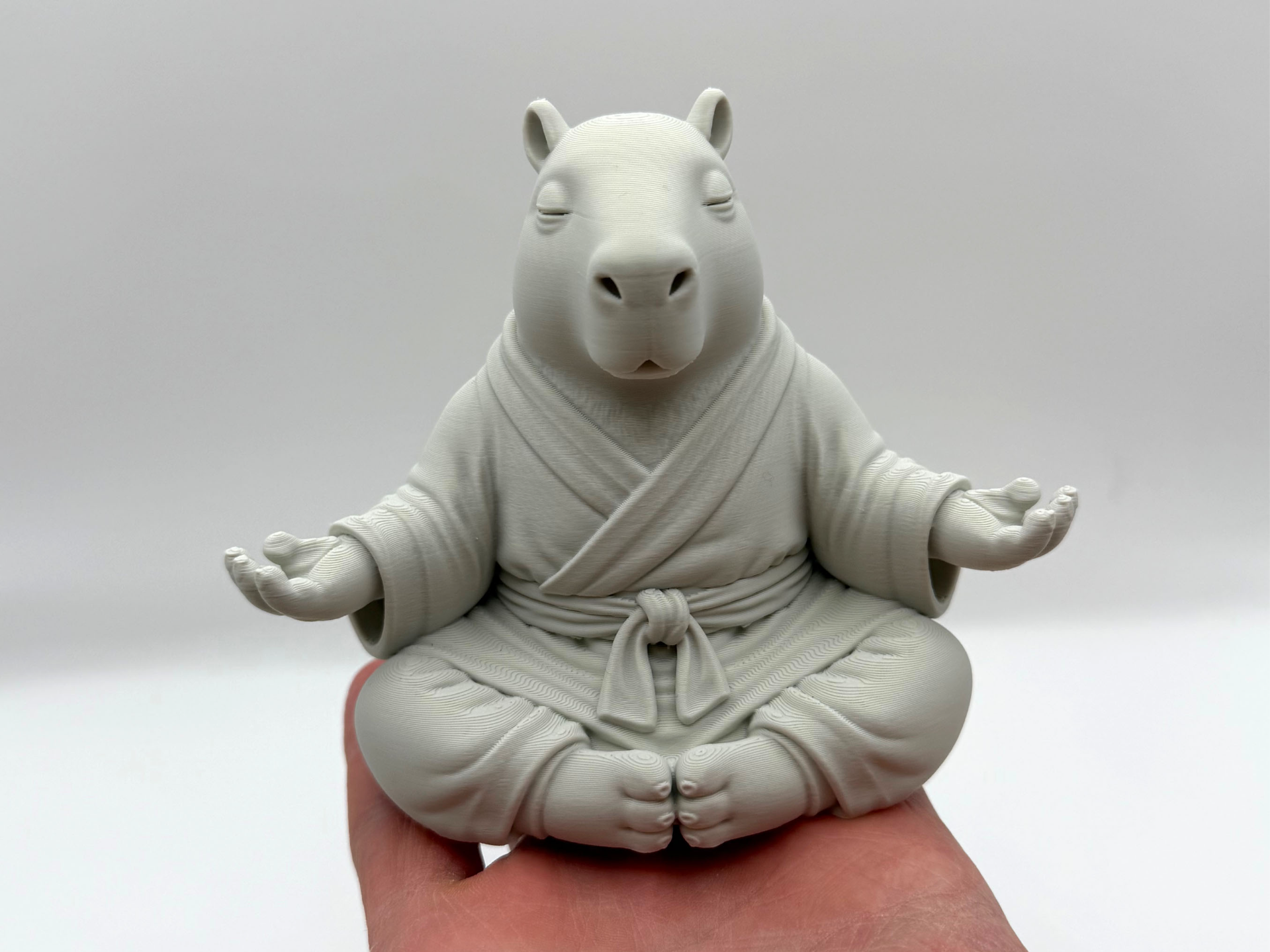 Meditating Capybara Monk