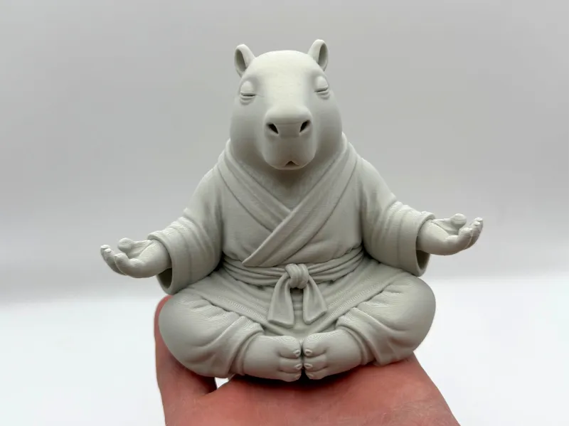 Meditating Capybara Monk